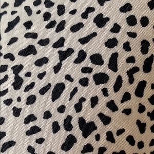 Meet your Posher, Bailey